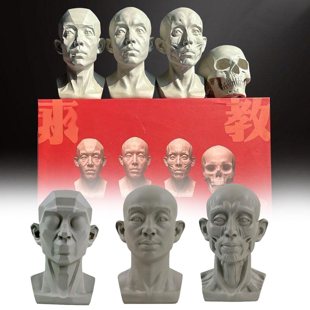 Resin Art Learning - Art Plaster Portrait Teaching Aids Simulation