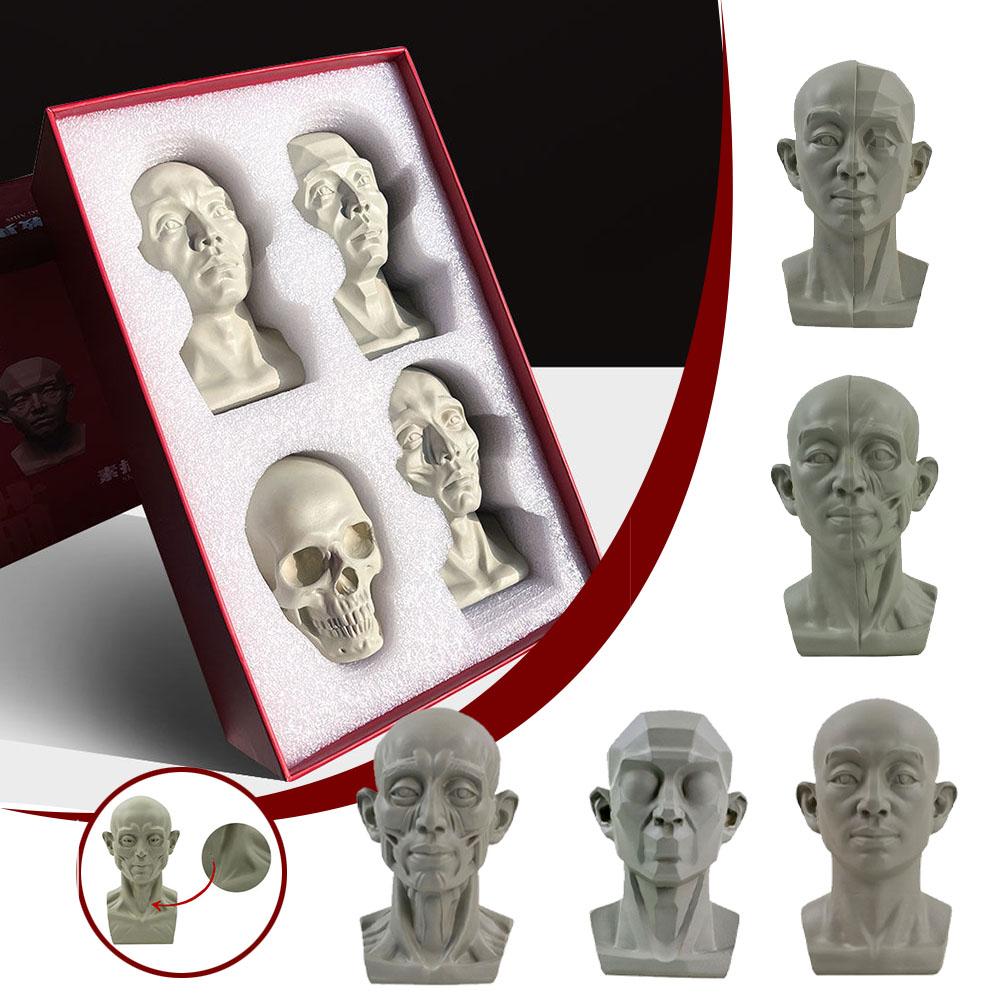 Resin Art Learning - Art Plaster Portrait Teaching Aids Simulation