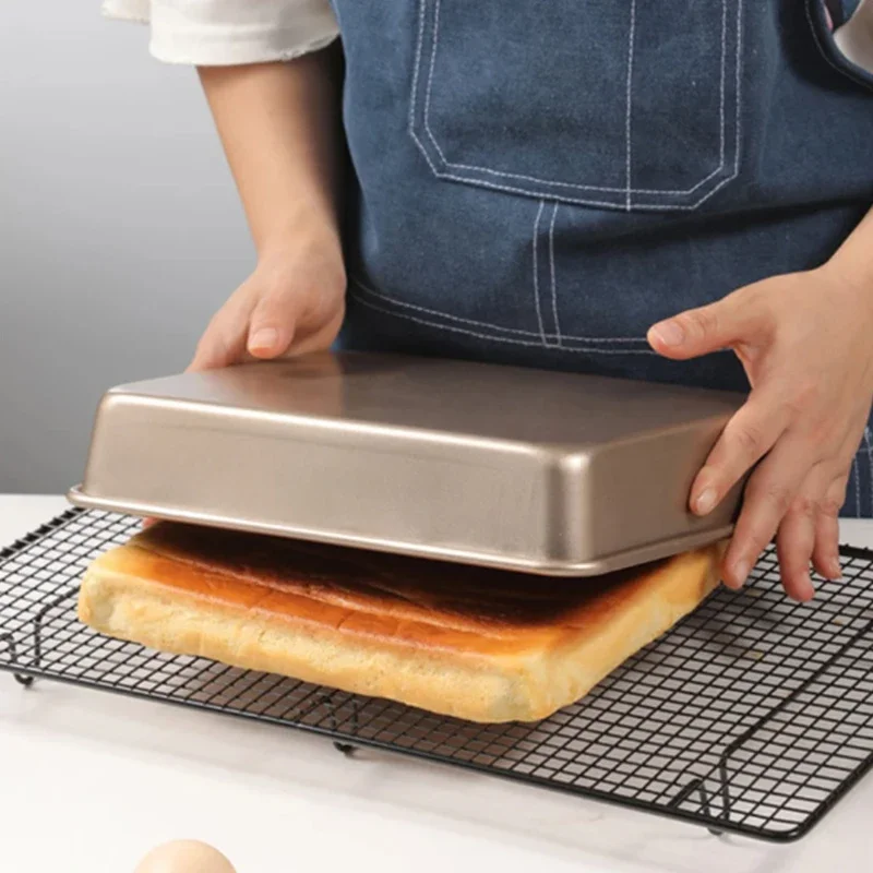 Rectangle Carbon Steel Cake Ba - đánh giá và giá Tray Mold Rectangle