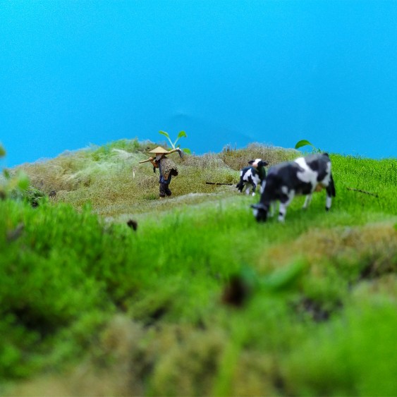 Small Fleshy Bonsai Toy, Old F - đánh giá và giá Resin Art Table