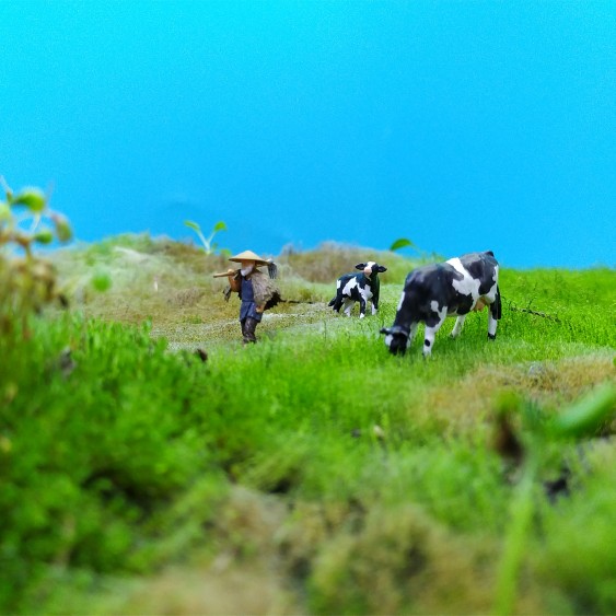 Small Fleshy Bonsai Toy, Old F - đánh giá và giá Resin Art Table